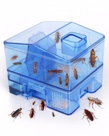 Buy Reusable Plastic Cockroach Traps Box in Pakistan | Shopland