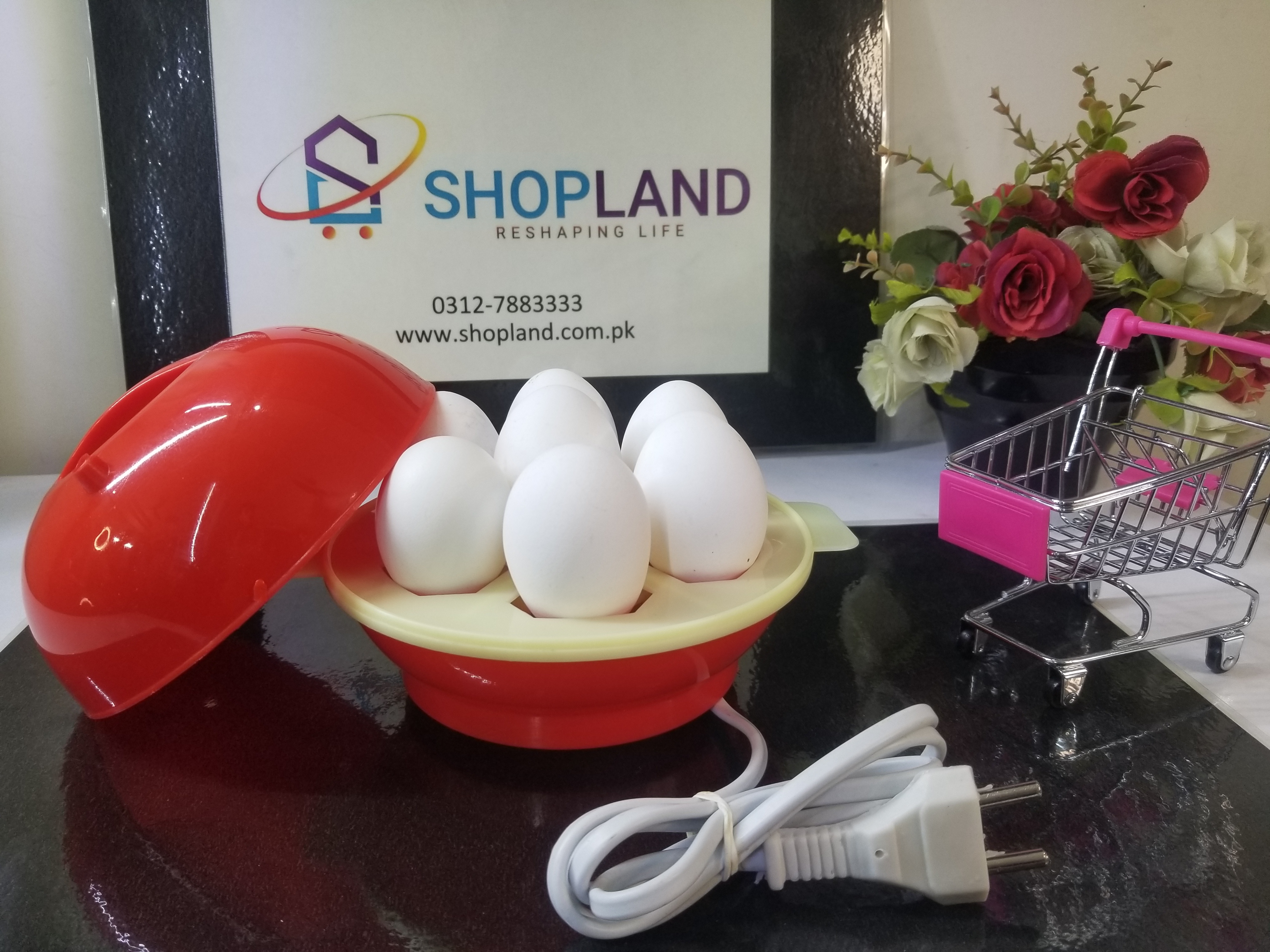 Egg boiled on sale machine price